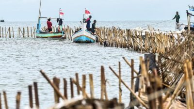 ICW Dorong KPK Usut Dugaan Korupsi Penerbitan HGB-SHM Pagar Laut