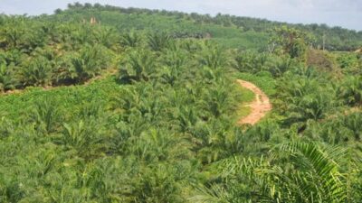 Eks Kombatan GAM Somasi PT Sawit Nabati Indah