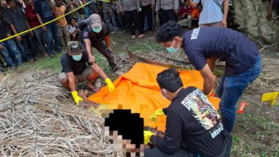 Temuan Mayat di Kebun Sawit Gegerkan Warga Subulussalam