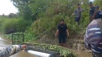 BKSDA Resor Singkil pasang perangkap buaya di Sungai Singkil.