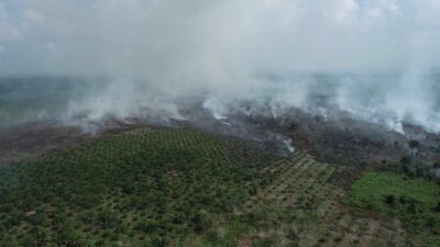 Kebakaran Hutan di Aceh Barat Meluas