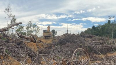 Excavator PT Sawit Nabati Indah Beroperasi di Lahan Kombatan GAM