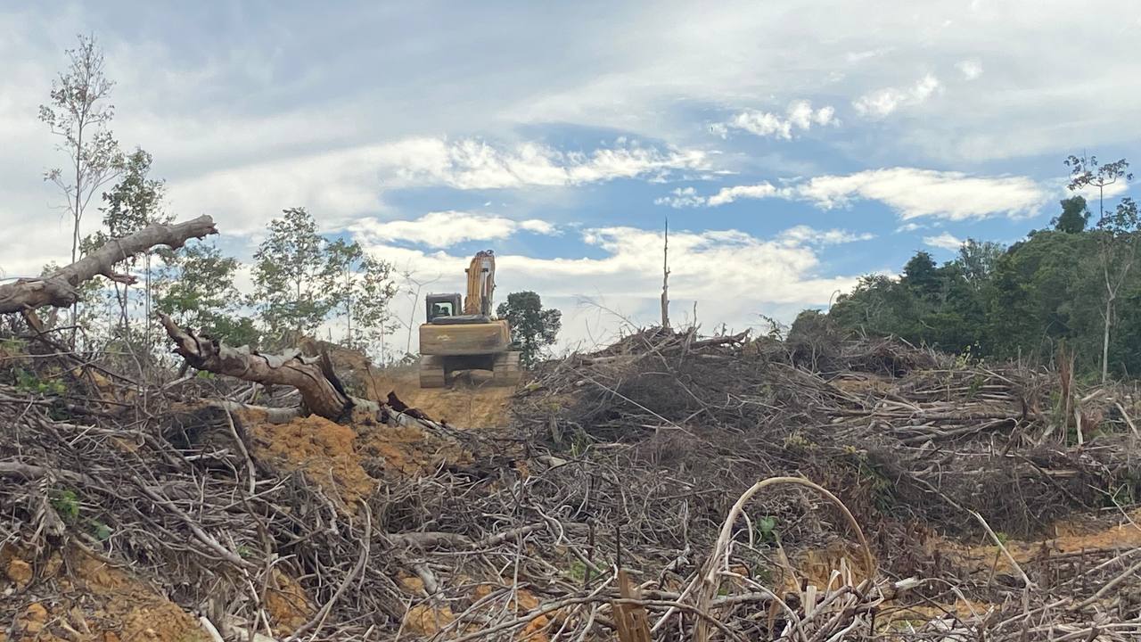 Excavator PT Sawit Nabati Indah Beroperasi di Lahan Kombatan GAM