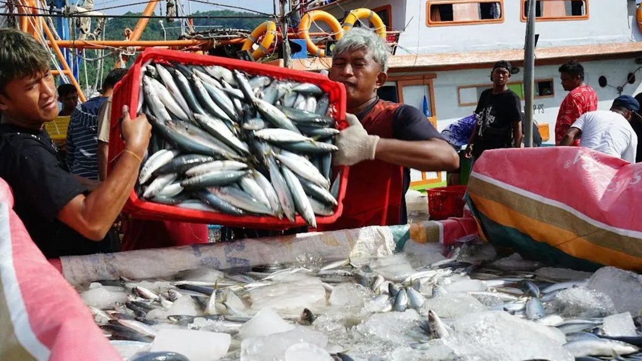 KKP Tambah 26 Unit Pengolahan Ikan yang Bisa Ekspor ke Taiwan