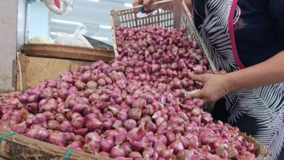 Pascabanjir di Aceh Singkil, Harga Bawang Merah Tembus Rp 48.000 per Kilogram