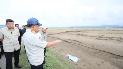 Mendagri Harap Kementan Percepat Pemulihan Sawah Terdampak Banjir di Aceh